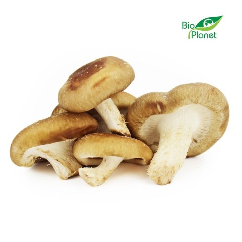 GRZYBY SHIITAKE ŚWIEŻE BIO (POLSKA) (około 0,20 kg) ŚWIEŻE (owoce, warzywa, grzyby) - tacki i sztuki