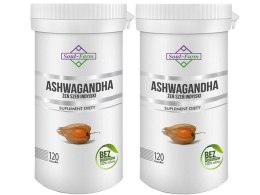 ASHWAGANDHA EKSTRAKT (500 mg) 60 KAPSUŁEK - SOUL FARM SOUL FARM (witaminy i ekstrakty)