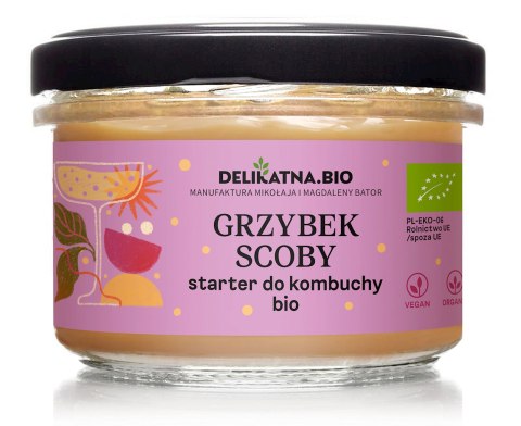 GRZYBEK SCOBY STARTER DO KOMBUCHY BIO 150 g - DELIKATNA (ZAKWASOWNIA) DELIKATNA (Zakwasownia)