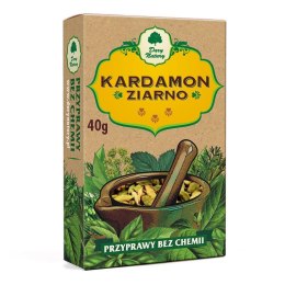 KARDAMON ZIARNO 40 g - DARY NATURY DARY NATURY - przyprawy i zioła