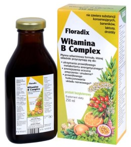 SUPLEMENT DIETY WITAMINA B COMPLEX W PŁYNIE BEZGLUTENOWA 250 ml - SALUS (FLORADIX) SALUS (soki)