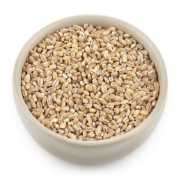 KASZA JĘCZMIENNA PĘCZAK BIO 500 g - THE PLANET THE PLANET (Zakupy przyjazne Ziemi)