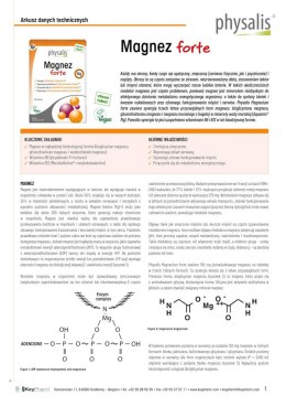 MAGNEZ FORTE 60 TABLETEK - PHYSALIS PHYSALIS (olejki eteryczne, suplementy)