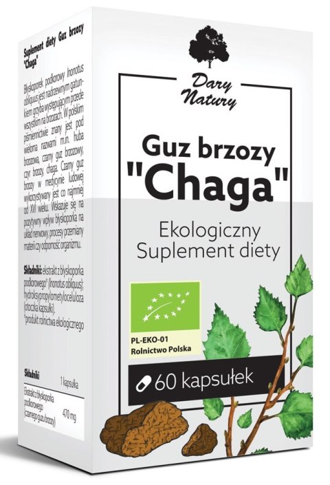 GUZ BRZOZY CHAGA BIO (470 mg) 60 KAPSUŁEK - DARY NATURY DARY NATURY - suplementy BIO