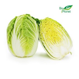 KAPUSTA PEKIŃSKA ŚWIEŻA BIO (około 0,60 kg) ŚWIEŻE (owoce, warzywa, grzyby) - tacki i sztuki