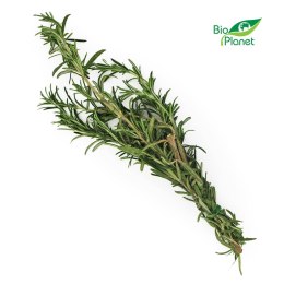 ROZMARYN ŚWIEŻY BIO (około 50 g) ŚWIEŻE (owoce, warzywa, grzyby) - tacki i sztuki