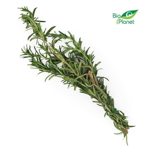 ROZMARYN ŚWIEŻY BIO (około 50 g) ŚWIEŻE (owoce, warzywa, grzyby) - tacki i sztuki