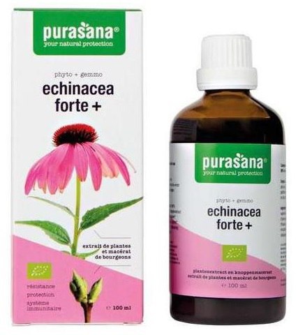 JEŻÓWKA PURPUROWA (ECHINACEA FORTE) KROPLE BIO 100 ml - PURASANA PURASANA (suplementy diety)