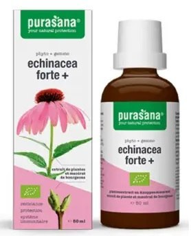 JEŻÓWKA PURPUROWA (ECHINACEA FORTE) KROPLE BIO 50 ml - PURASANA PURASANA (suplementy diety)