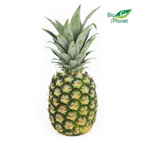 ANANAS ŚWIEŻY BIO (około 0,70 kg) ŚWIEŻE (owoce, warzywa, grzyby) - tacki i sztuki