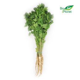 PIETRUSZKA Z NACIĄ ŚWIEŻA BIO (POLSKA) (około 0,30 kg) ŚWIEŻE (owoce, warzywa, grzyby) - tacki i sztuki