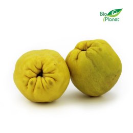 PIGWA ŚWIEŻA BIO (około 0,30 kg) ŚWIEŻE (owoce, warzywa, grzyby) - tacki i sztuki