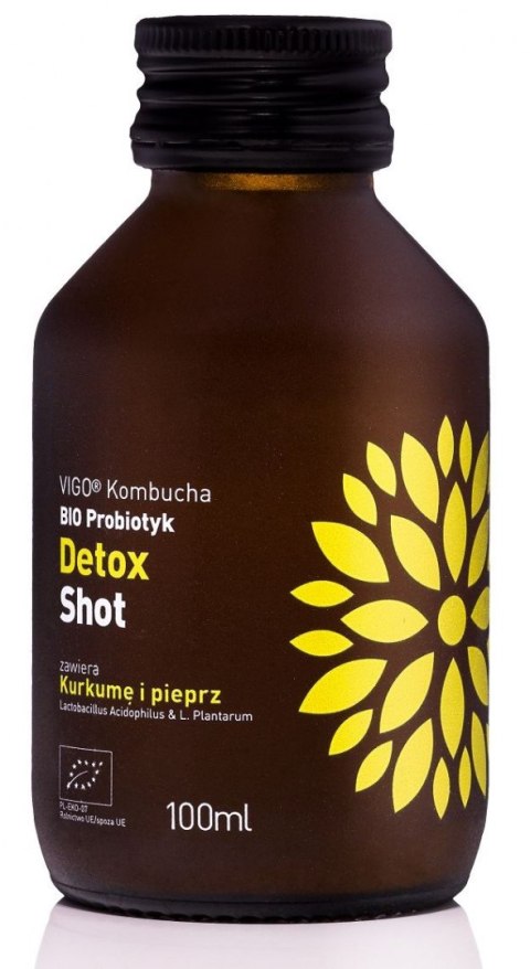 SHOT KOMBUCHA PROBIOTYK DETOX BEZGLUTENOWY BIO 100 ml - VIGO VIGO YOKO (kombucha)