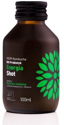 SHOT KOMBUCHA PROBIOTYK ENERGIA BEZGLUTENOWY BIO 100 ml - VIGO VIGO YOKO (kombucha)