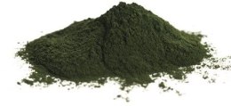 CHLORELLA W PROSZKU (GLONY) BIO (SUROWIEC) (20 kg) HORECA - surowce (nr w nazwach = nr brygady pak.)