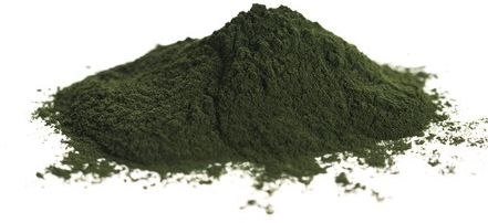 CHLORELLA SPROSZKOWANA BIO (SUROWIEC) (20 kg) HORECA BIO - surowce