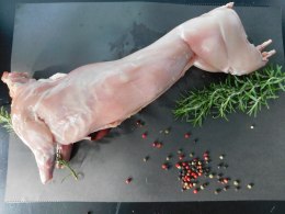 KRÓLIK TUSZKA PORCJOWANA SUROWA (około 1,00 kg) - AMCIU (NA ZAMÓWIENIE) KRÓLIKI AMCIU (mięso królika)