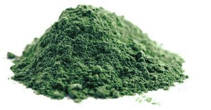 SPIRULINA SPROSZKOWANA BIO (SUROWIEC) (25 kg) HORECA BIO - surowce